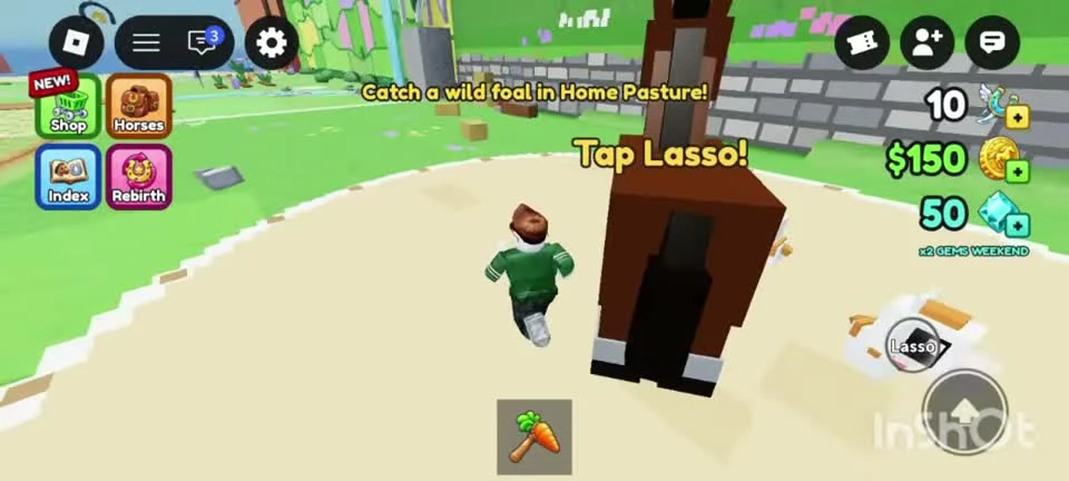 Mobile Lasso interaction beside a foal in Home Pasture
